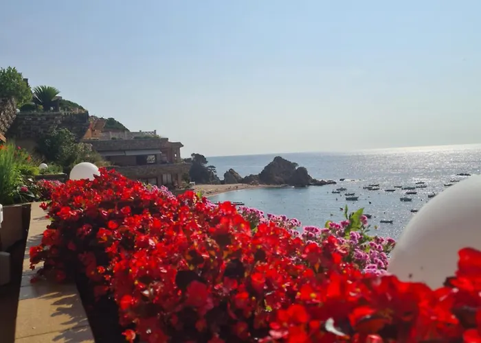 Apartment Tossa Minerva *