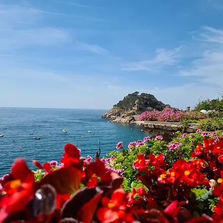 Tossa Minerva * Tossa de Mar