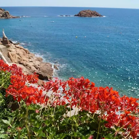 Apartment Tossa Minerva