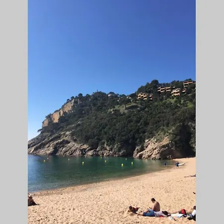 Apartment Tossa Minerva Apartment *